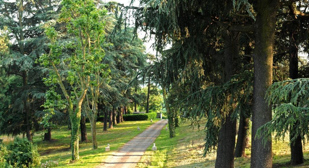 Logis De Nantas Bed & Breakfast Saint-Jean-Bonnefonds Dış mekan fotoğraf